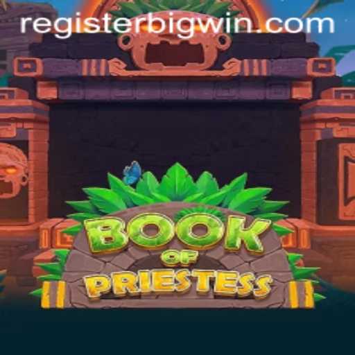 Exploring the Mystical Realms of BookOfPriestess: Your Guide to BIGWIN